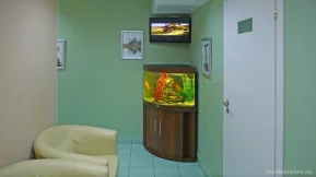 Стоматологический кабинет Арт-стом на улице Чехова фото 2
