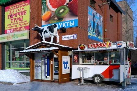 Сеть автоматов по продаже молока А-молоко на проспекте Космонавтов фото 2