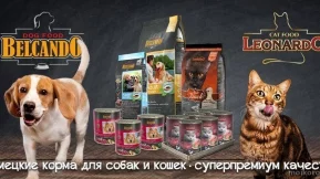Интернет-магазин товаров для животных Zoo-Oscar.ru фото 2
