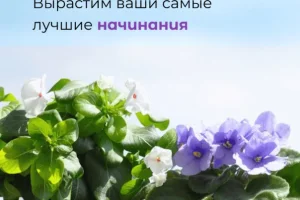 Магазин цветов Евробукет на улице Дзержинского фото 2