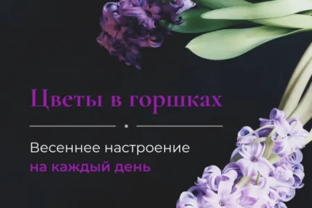 Магазин цветов Евробукет на улице Дзержинского фото 1