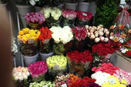 Магазин цветов Садовник на Пионерской улице фото 6