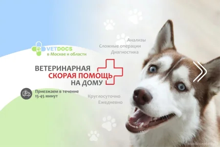 Ветеринарная клиника Vetdocs на Пушкинской улице фото 12