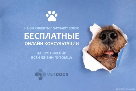 Ветеринарная клиника Vetdocs на Пушкинской улице фото 3