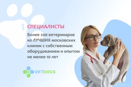 Ветеринарная клиника Vetdocs на Пушкинской улице фото 8