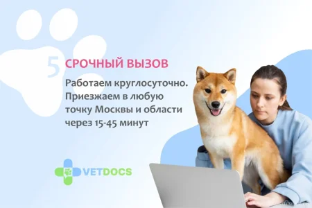 Ветеринарная клиника Vetdocs на Пушкинской улице фото 1