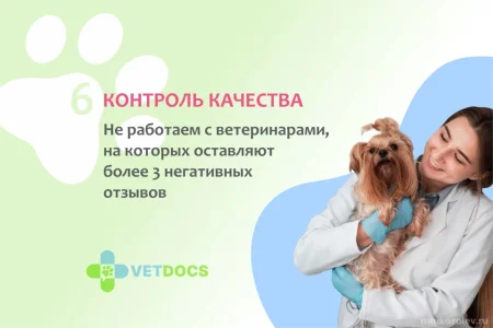 Ветеринарная клиника Vetdocs на Пушкинской улице фото 7