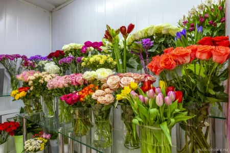 Цветочный магазин Alira flora фото 1