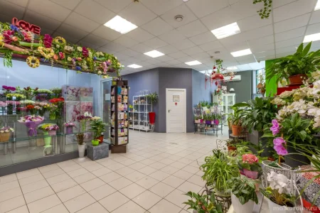 Цветочный магазин Alira flora фото 5